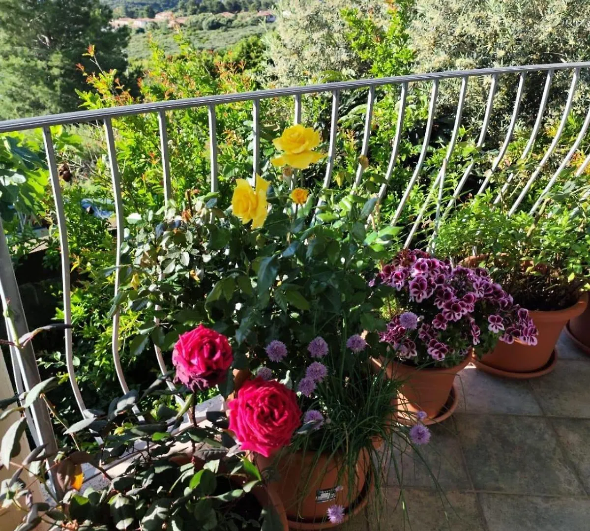 B&B Easy Wind Cala Gonone