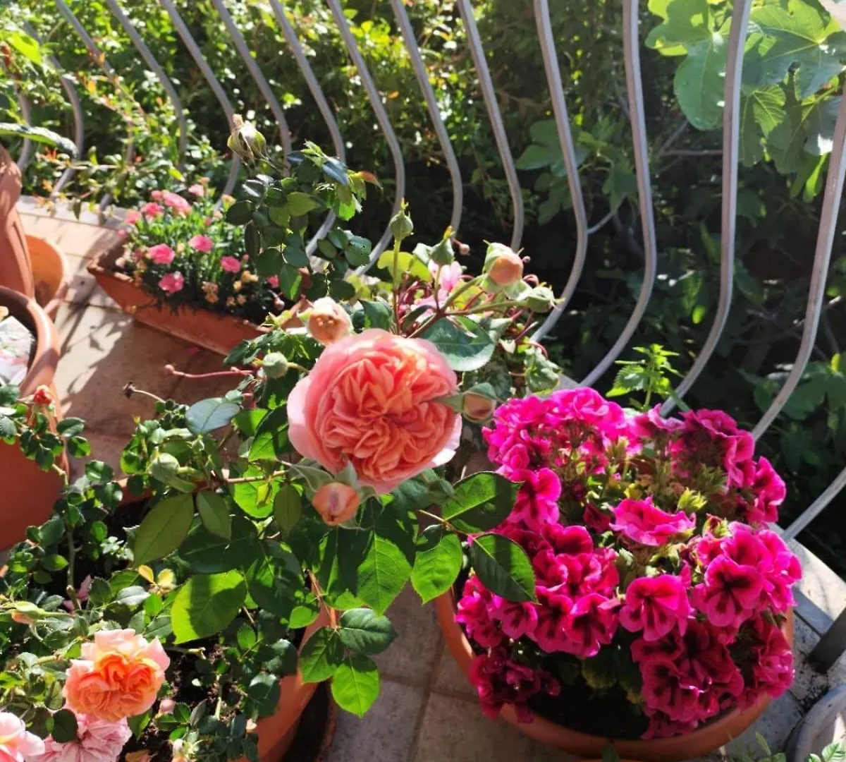 Homestay B&B Easy Wind Cala Gonone