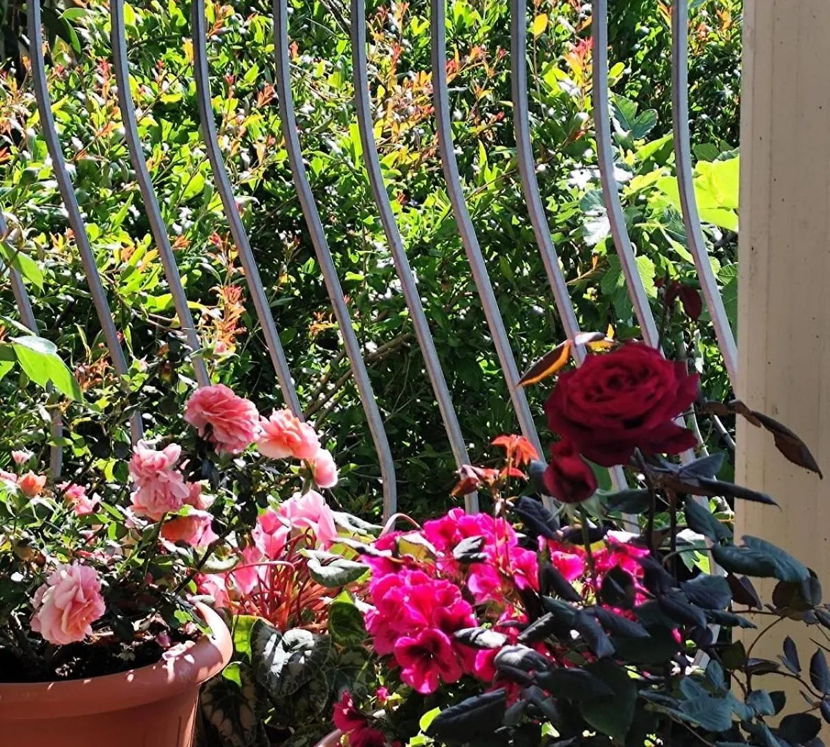 B&B Easy Wind Cala Gonone