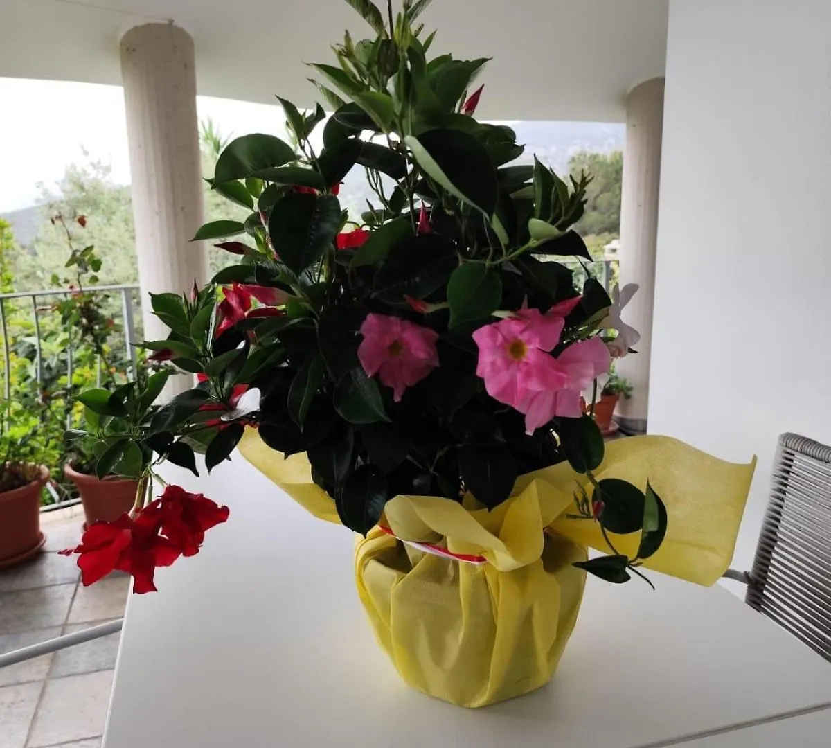 B&B Easy Wind Cala Gonone